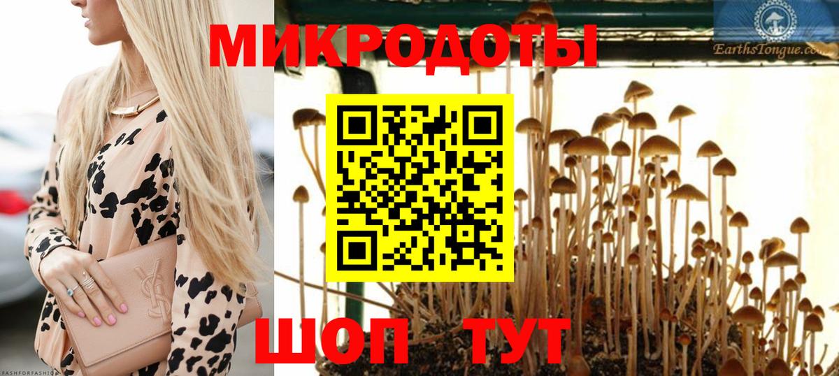Галлюциногенные грибы Cubensis  Вход с VPN  Кувандык  Псилоцибиновые грибы мицелий 